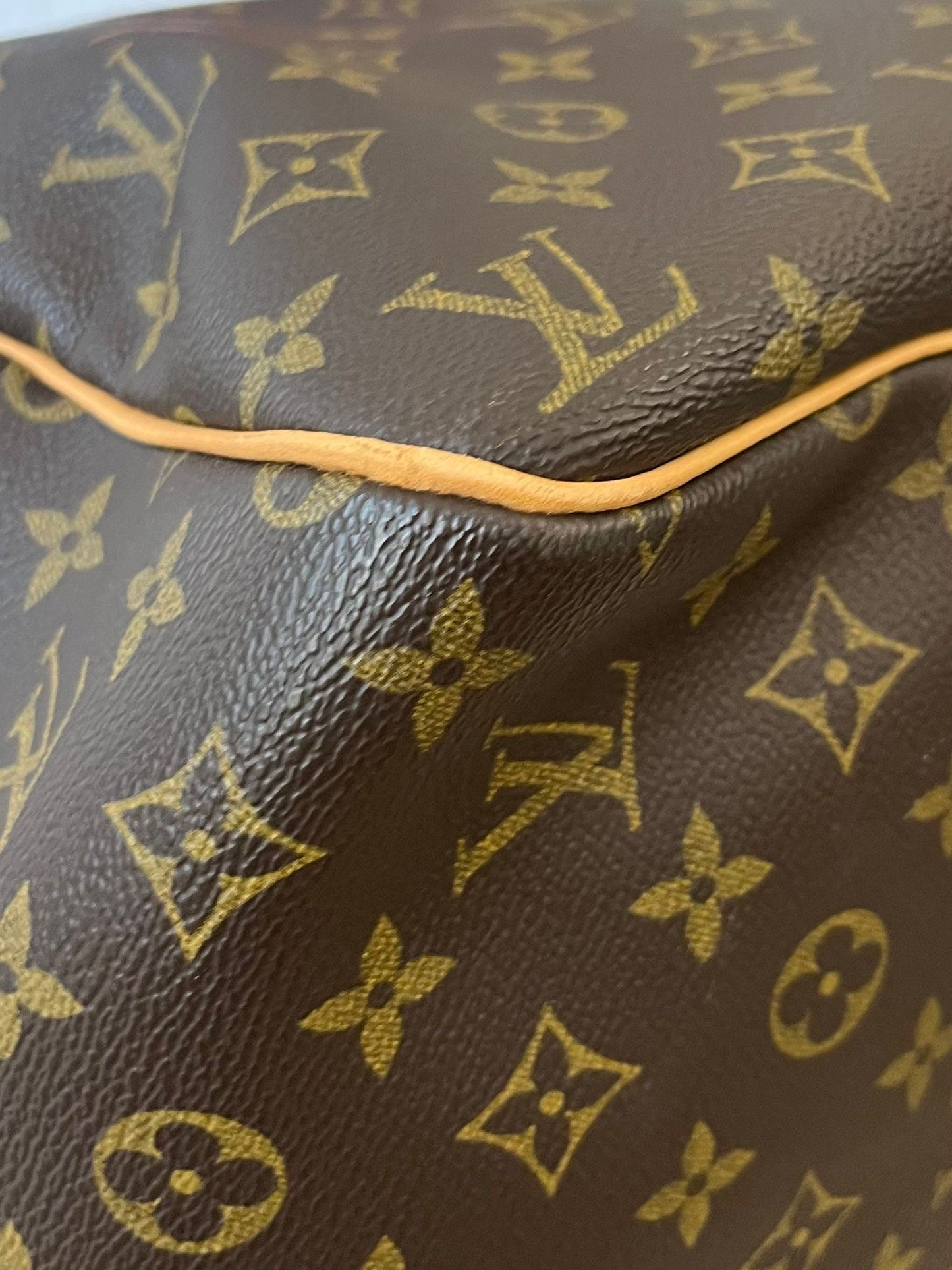 Louis Vuitton Evasion