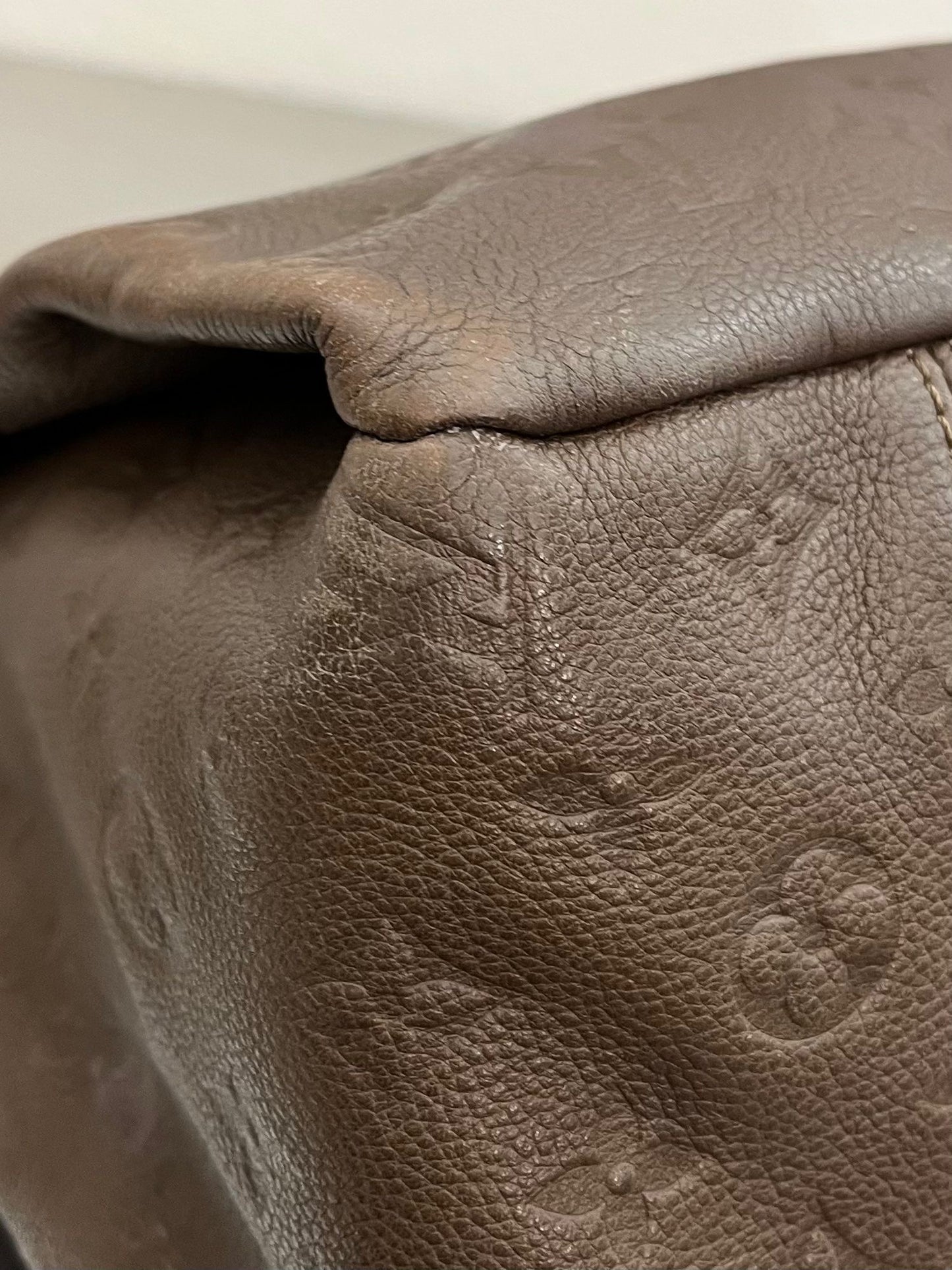 Louis Vuitton Artsy MM