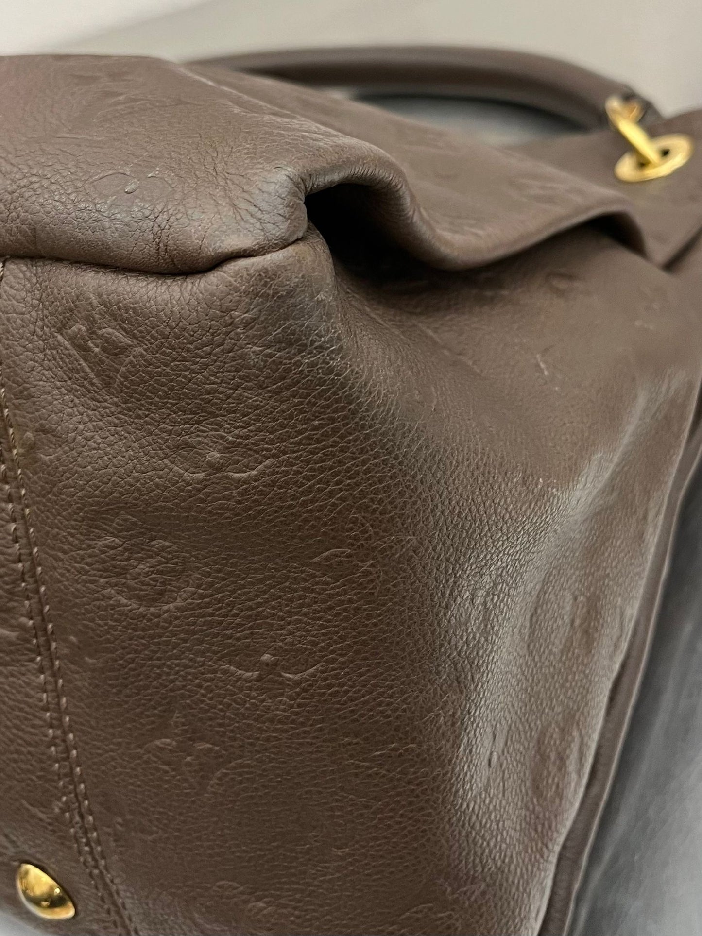 Louis Vuitton Artsy MM