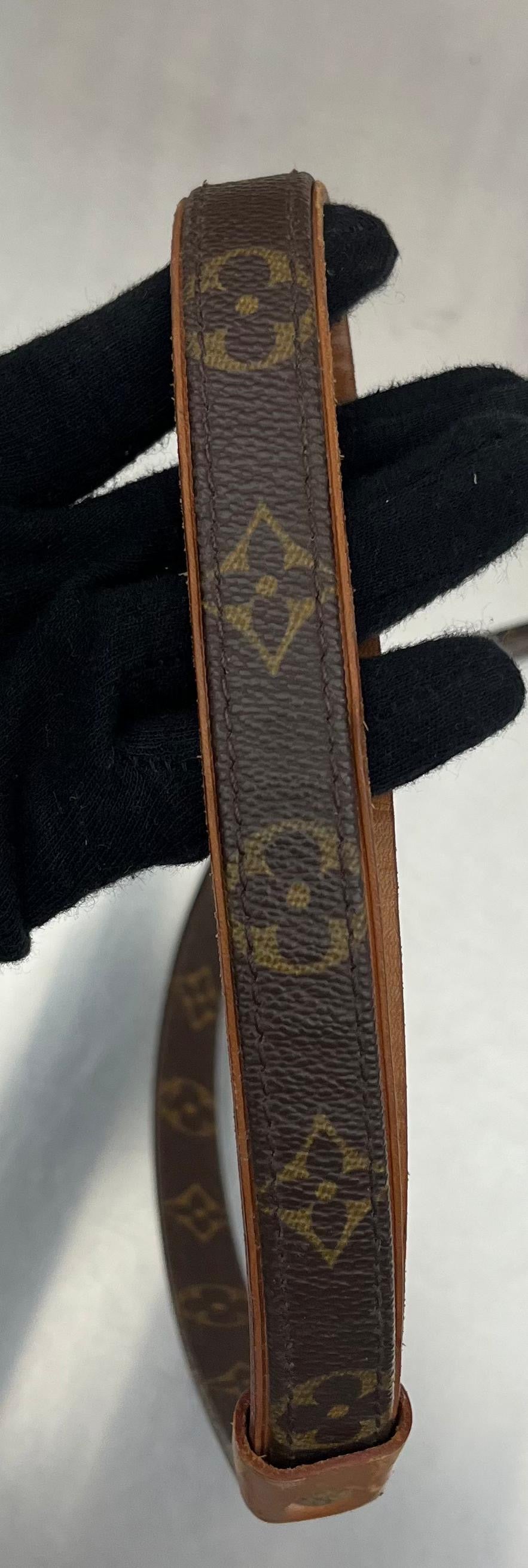 Louis Vuitton Baxter PM Leine mit Halsband