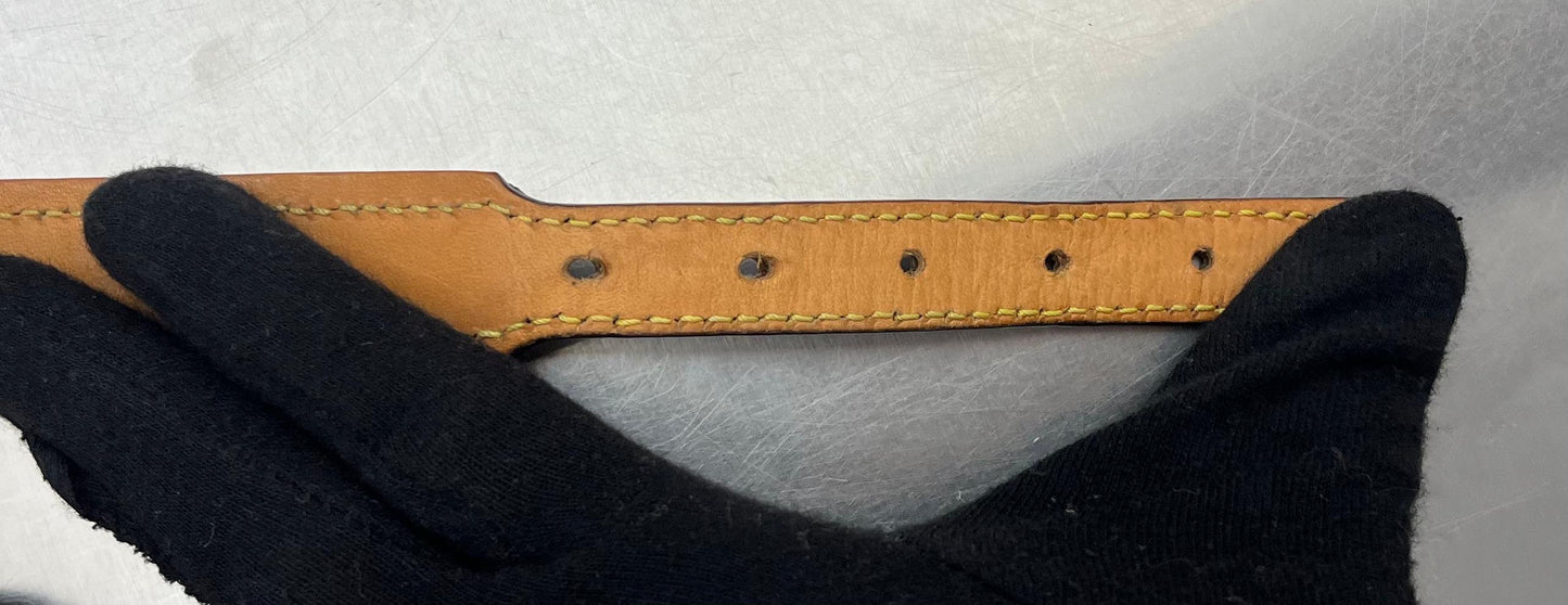 Louis Vuitton Baxter PM Leine mit Halsband