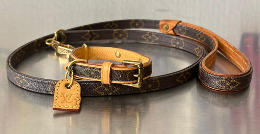 Louis Vuitton Baxter MM Leine mit Halsband