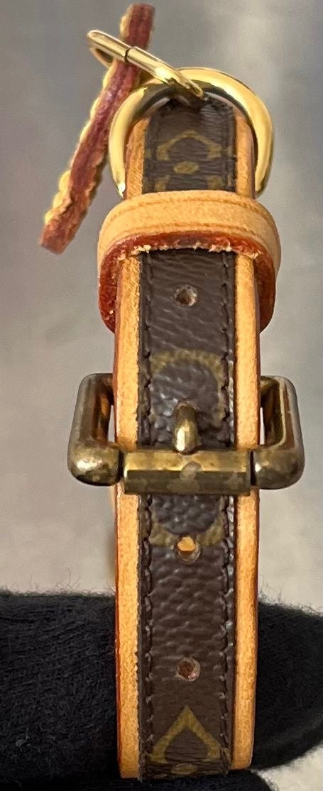 Louis Vuitton Baxter MM Leine mit Halsband