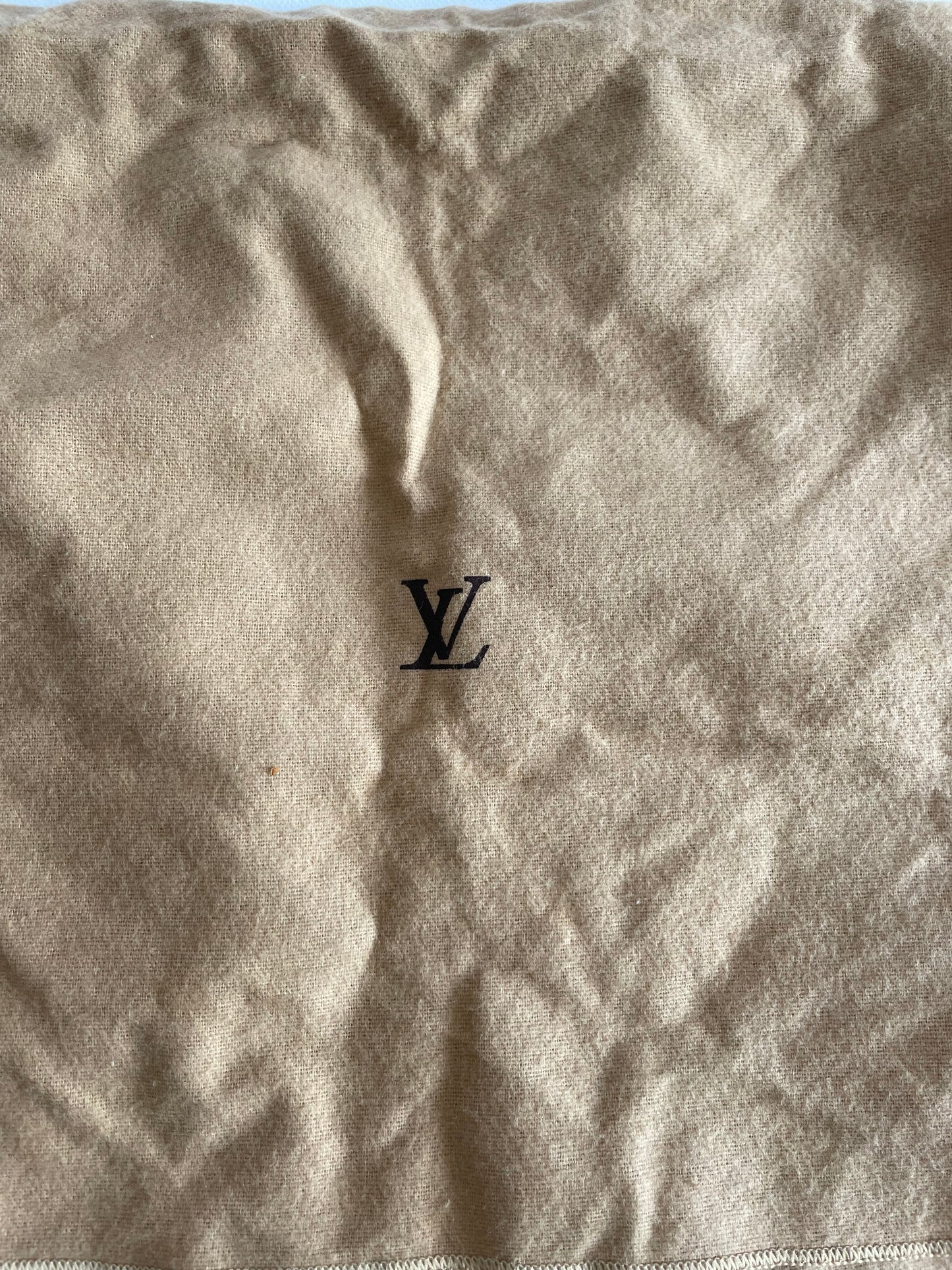 Louis Vuitton Sac Noé Petit EPI