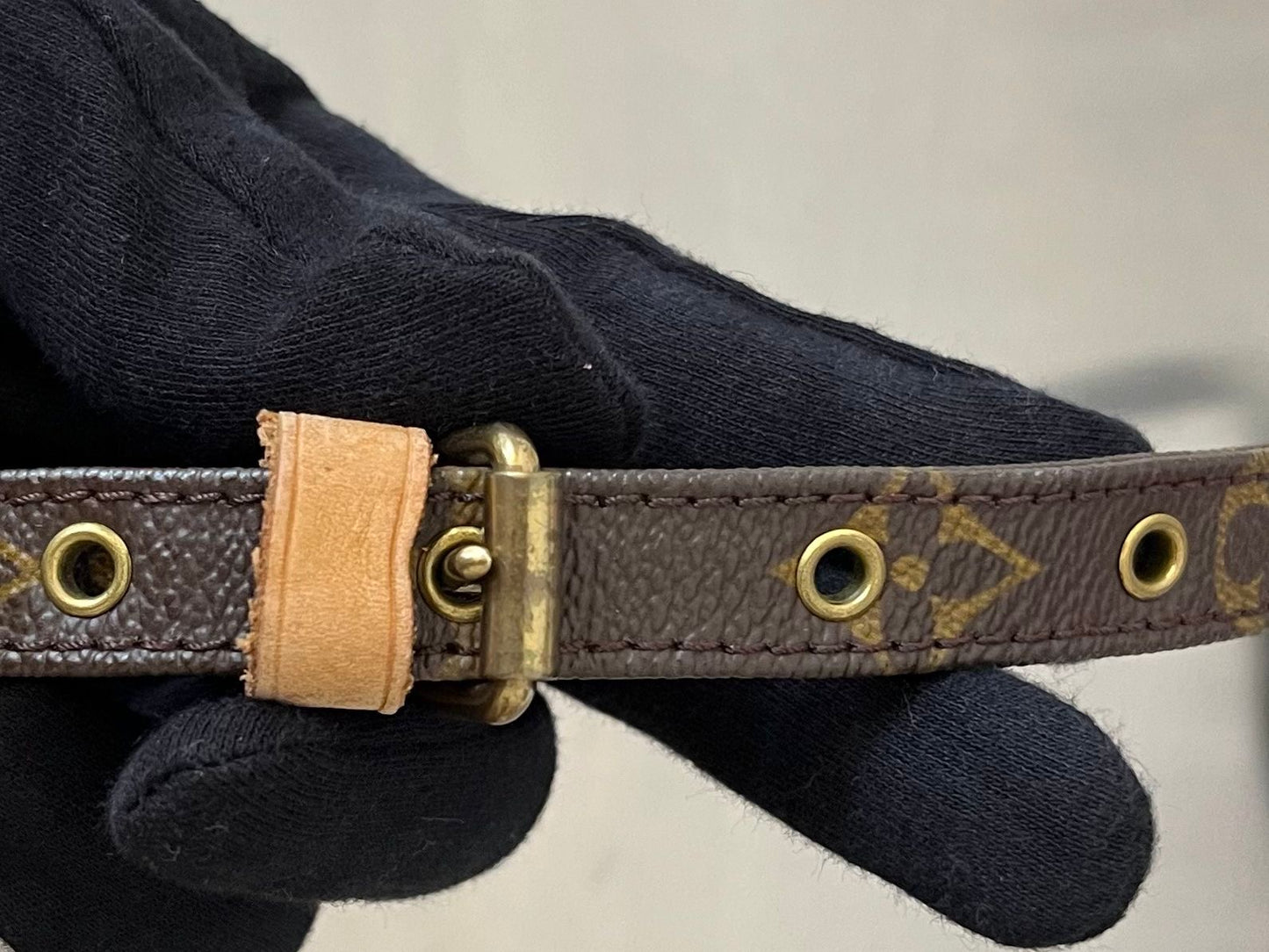 Louis Vuitton Amazone