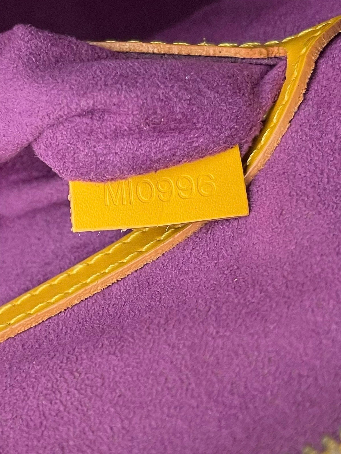 Louis Vuitton Alma PM Epi