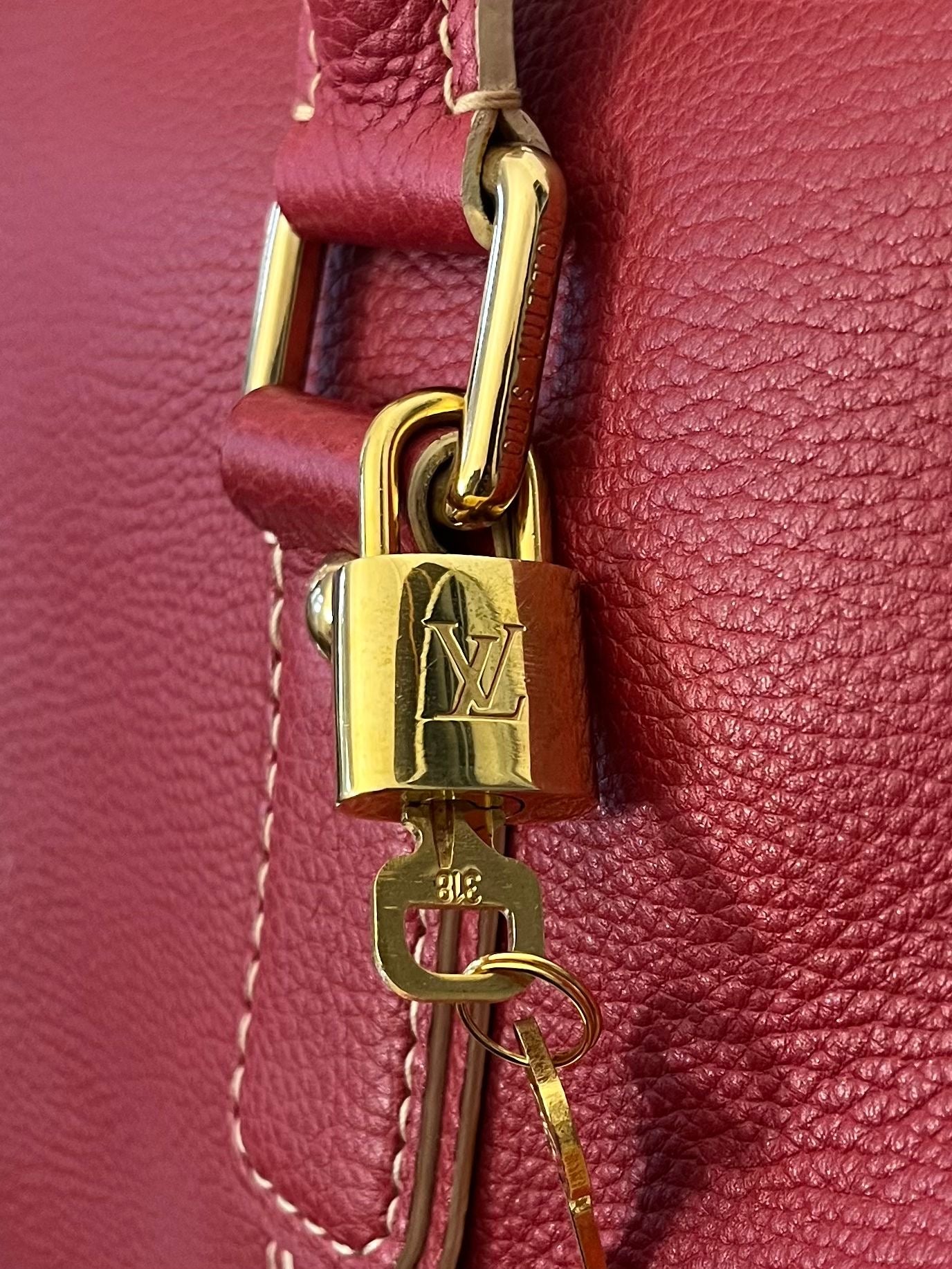 Louis Vuitton Carryall Limited Edition Tobago Leder