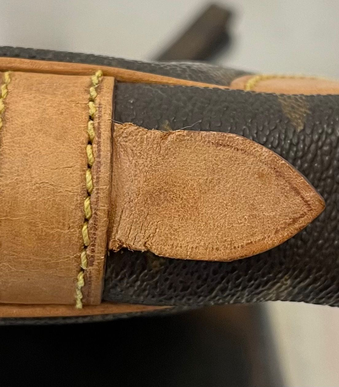 Louis Vuitton Marly Dragonne PM (Vintage)