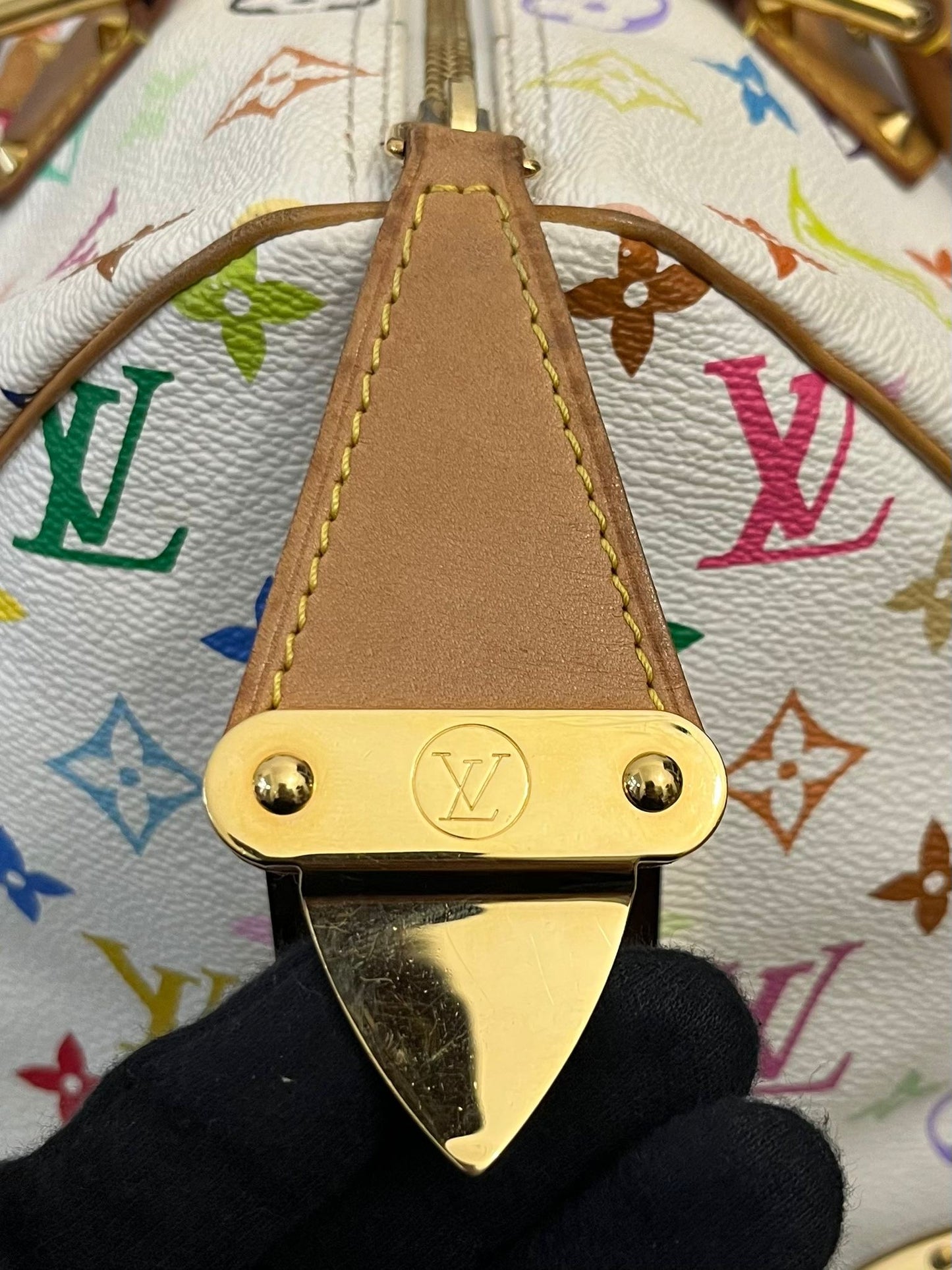 Louis Vuitton Speedy 30 Multicolor x Takashi Murakami
