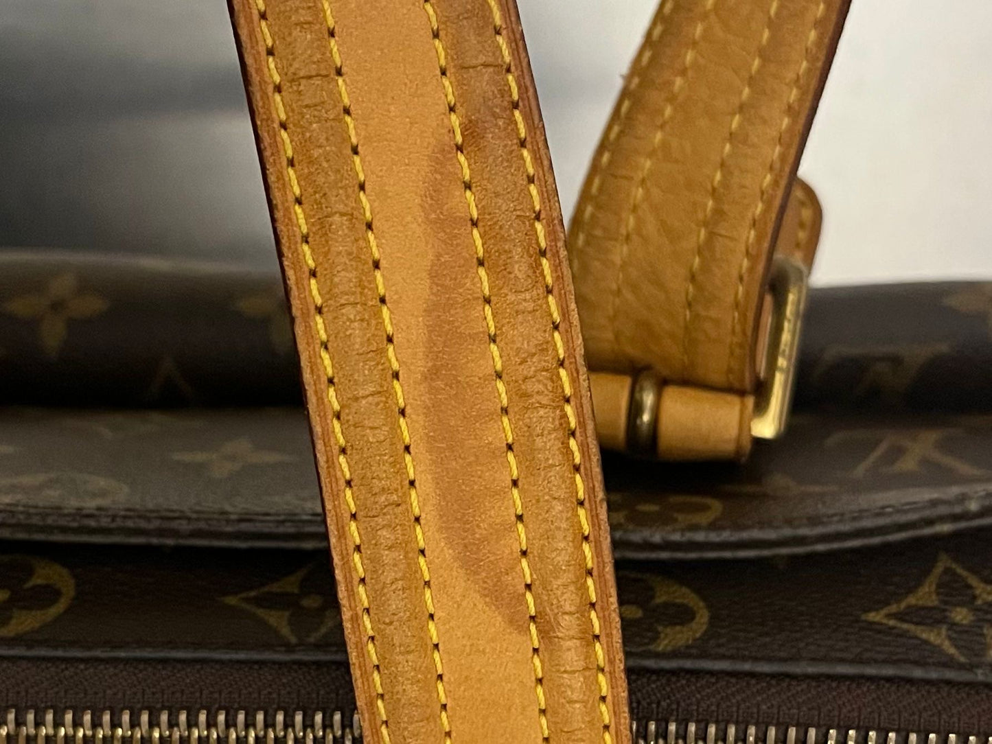 Louis Vuitton Multipli Cite