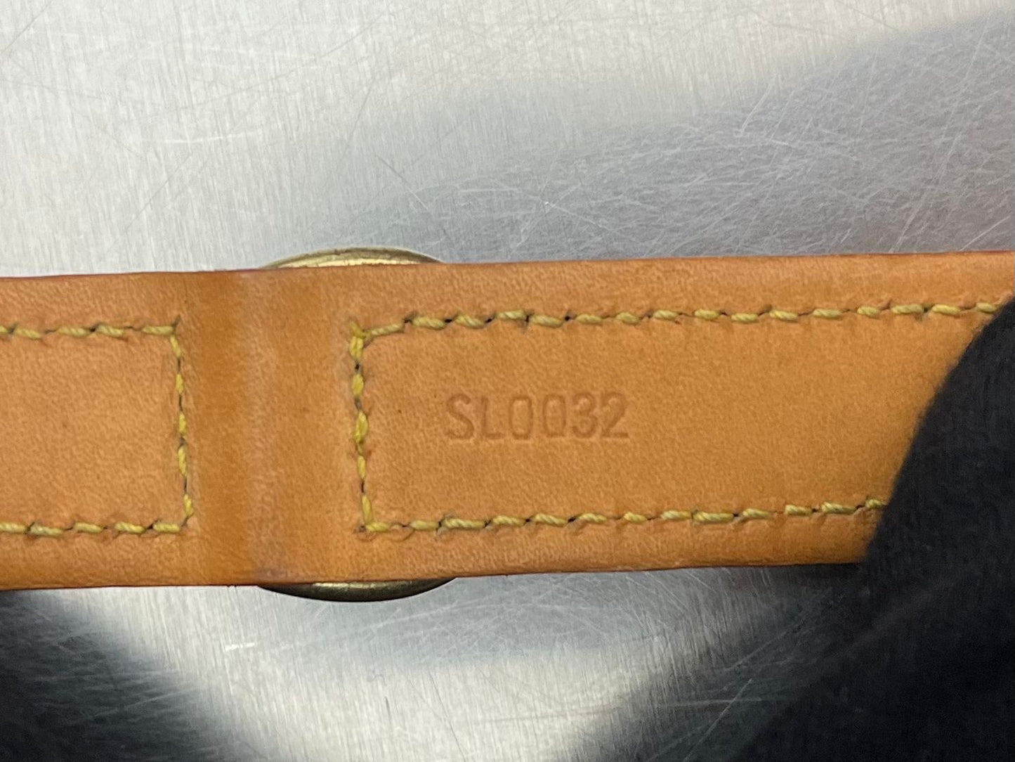 Louis Vuitton Baxter PM Leine mit Halsband