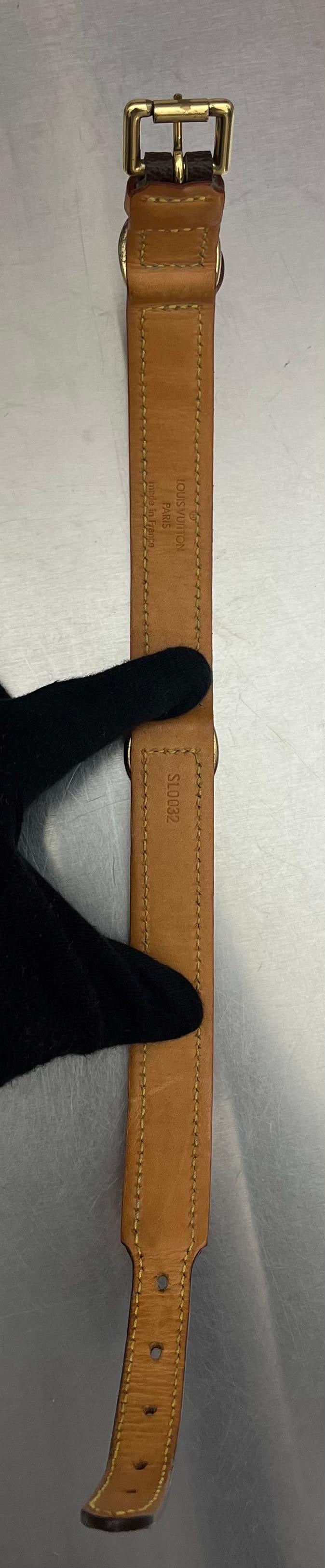 Louis Vuitton Baxter PM Leine mit Halsband