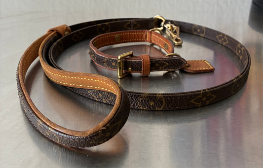 Louis Vuitton Baxter MM Leine mit Halsband