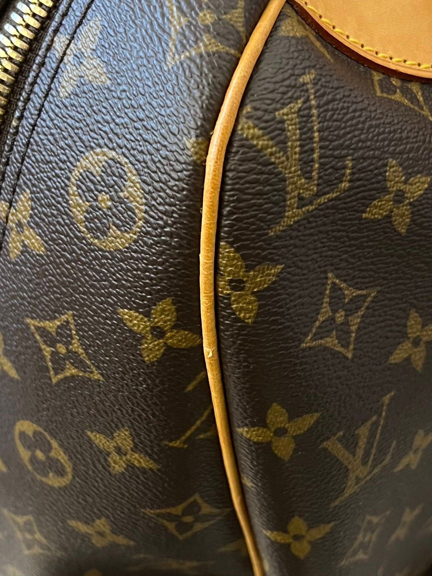 Louis Vuitton Evasion