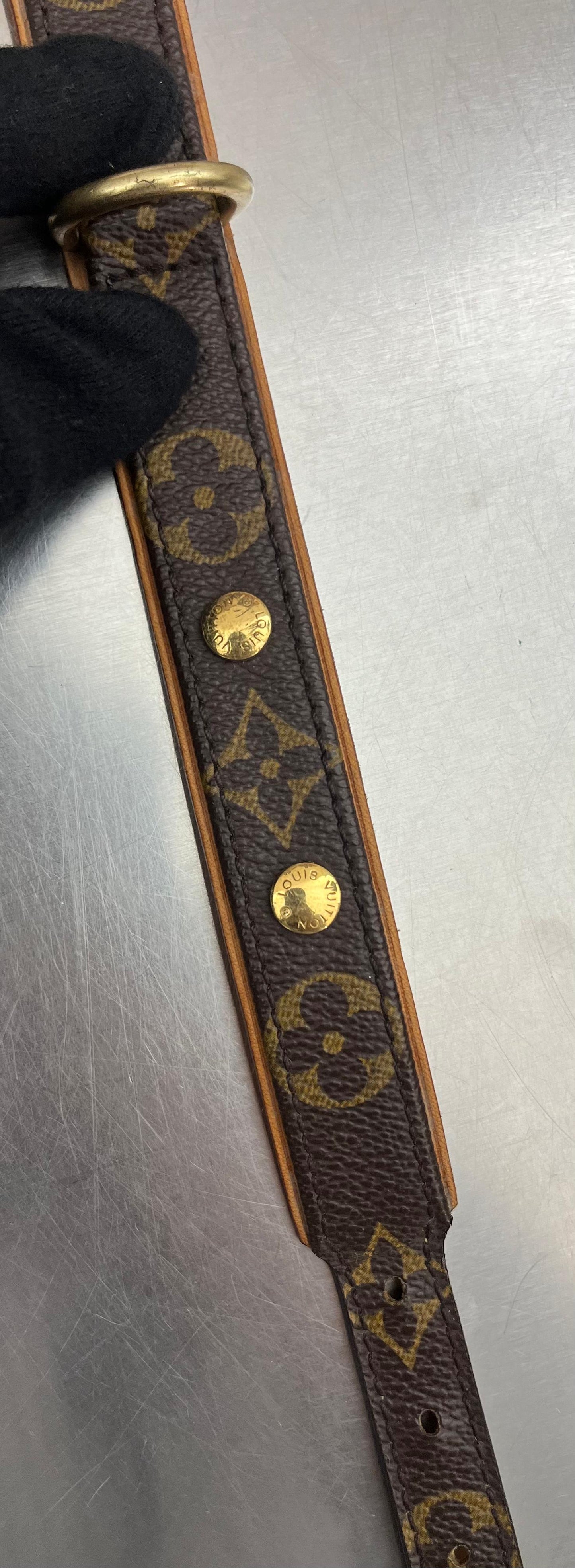 Louis Vuitton Baxter PM Leine mit Halsband