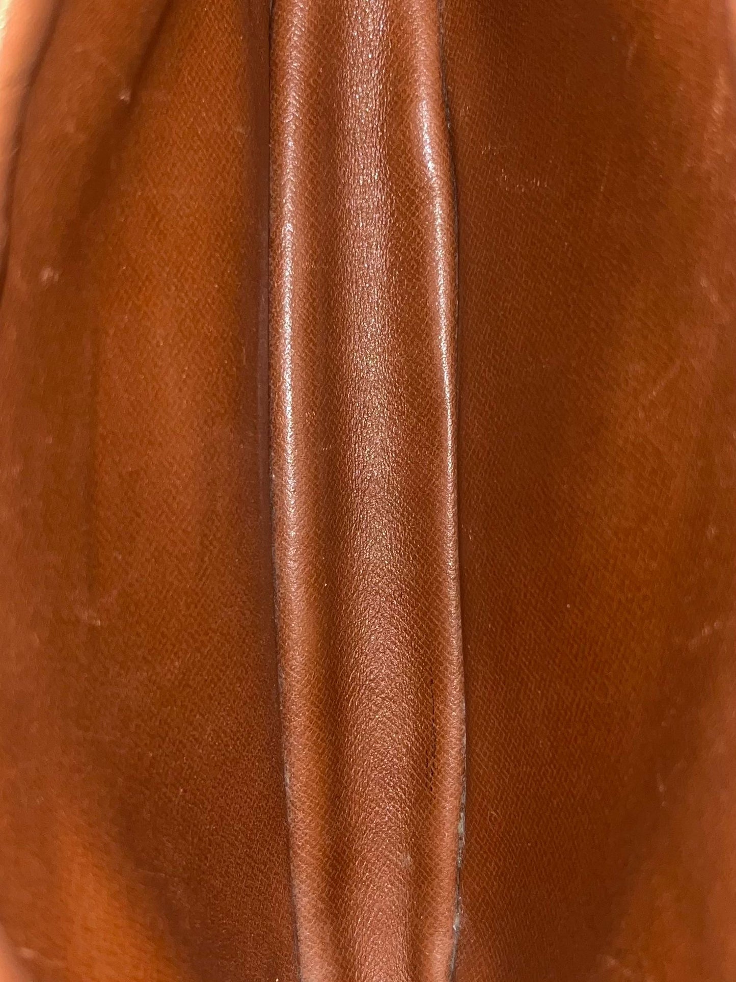Louis Vuitton Marly Dragonne PM (Vintage)