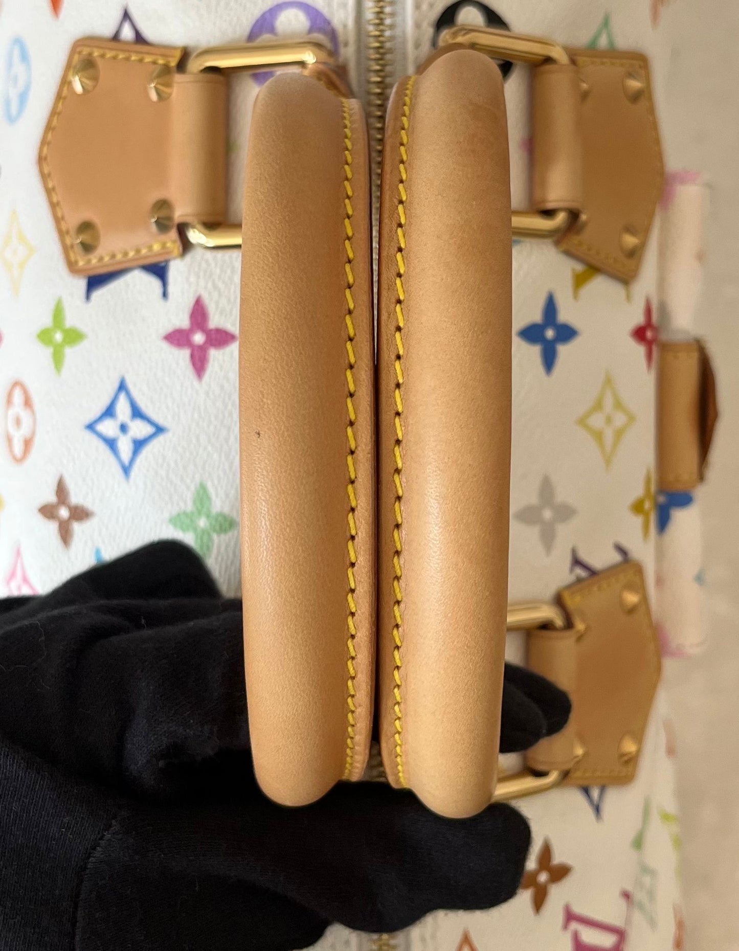 Louis Vuitton Speedy 30 Multicolor x Takashi Murakami