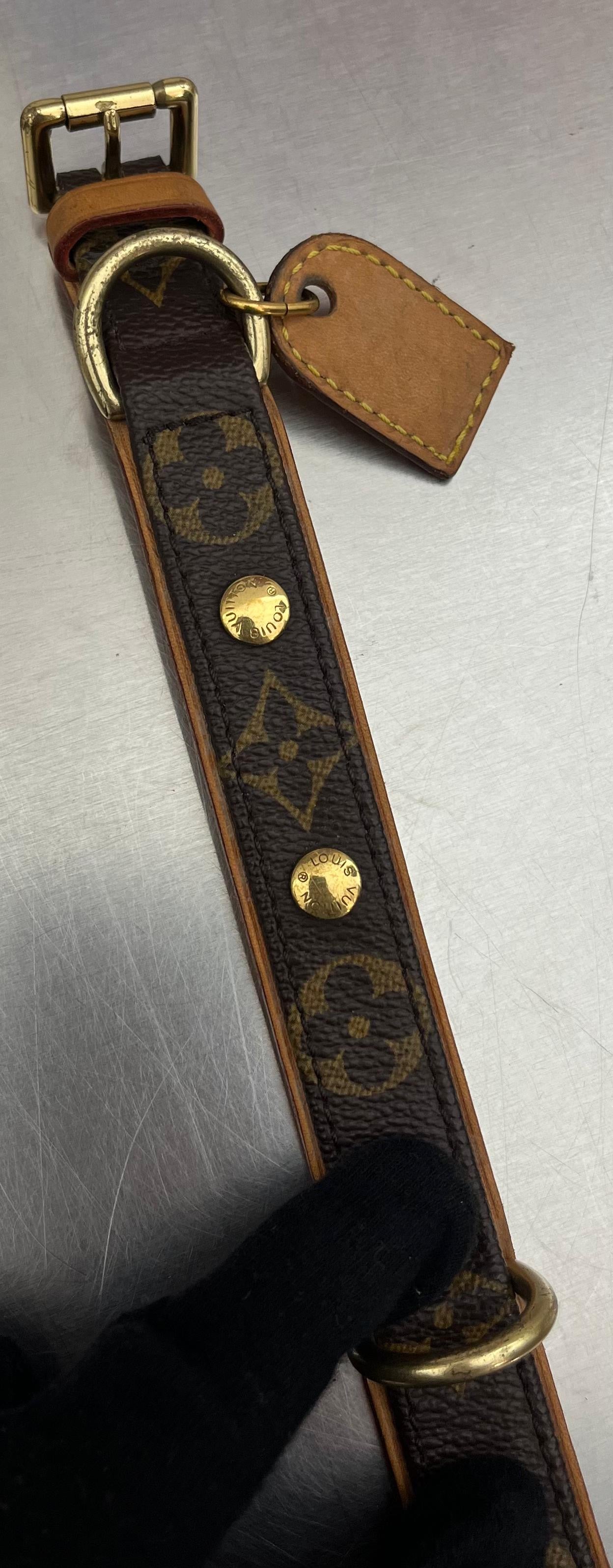 Louis Vuitton Baxter PM Leine mit Halsband