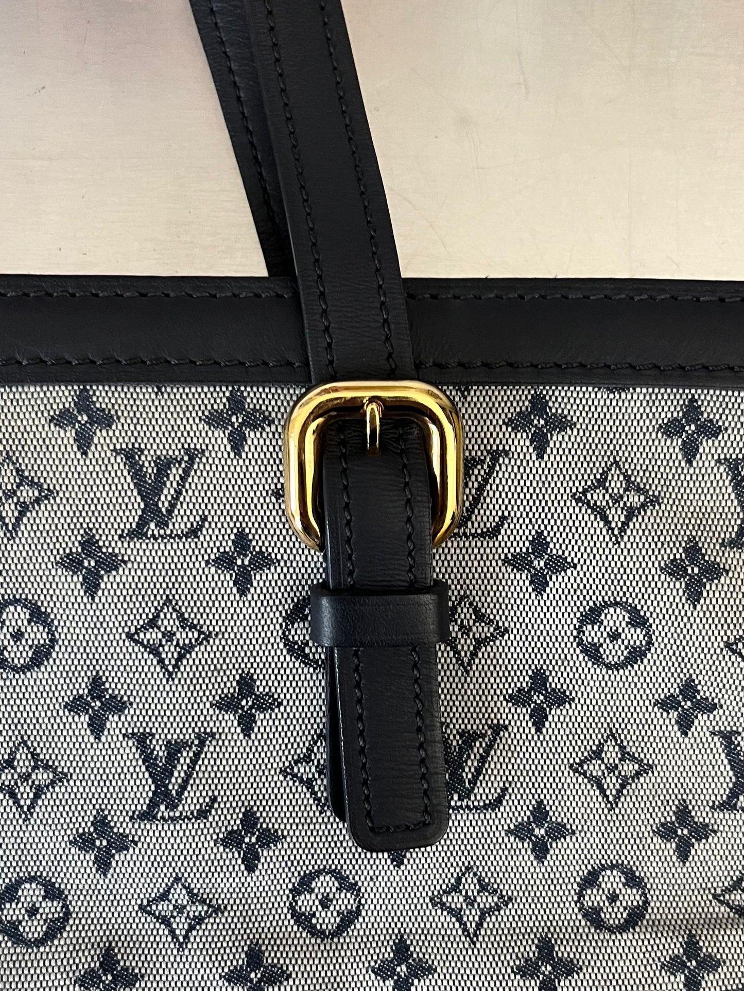Louis Vuitton Mini Lin Francoise