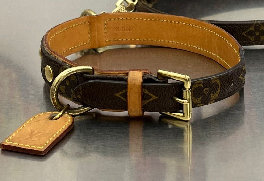Louis Vuitton Baxter PM Leine mit Halsband