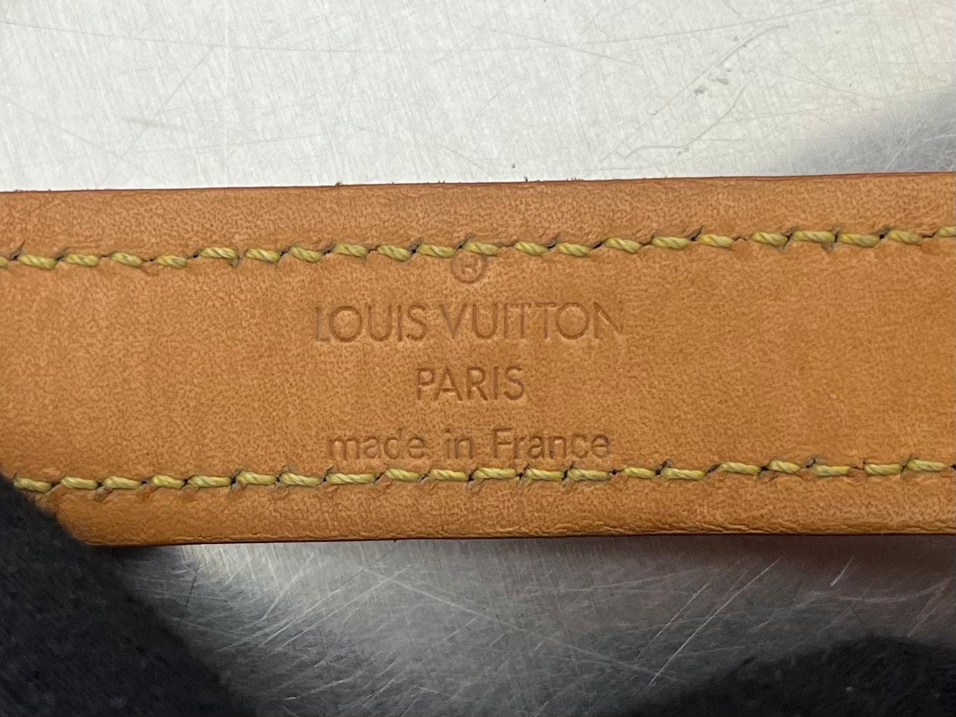 Louis Vuitton Baxter PM Leine mit Halsband