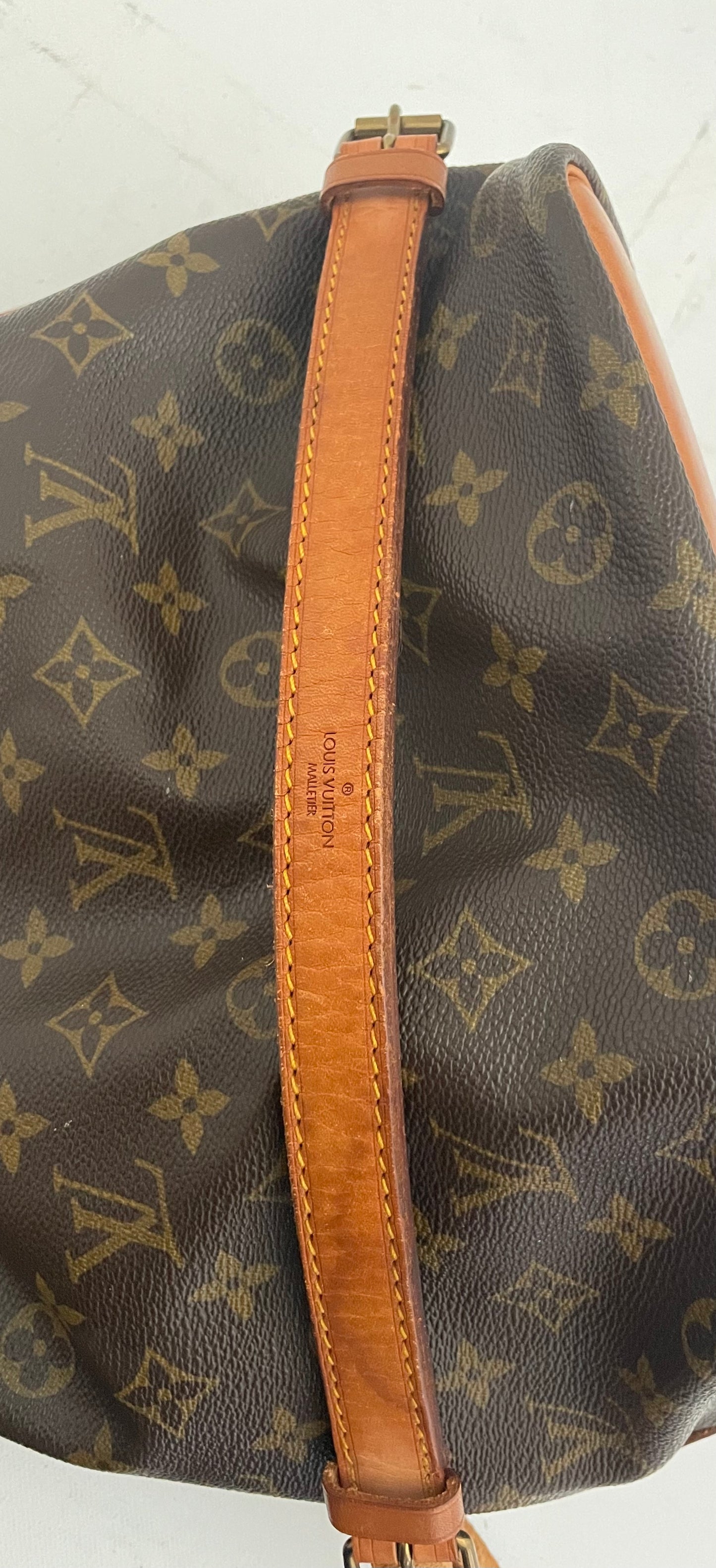 Louis Vuitton Sac Noé Petit