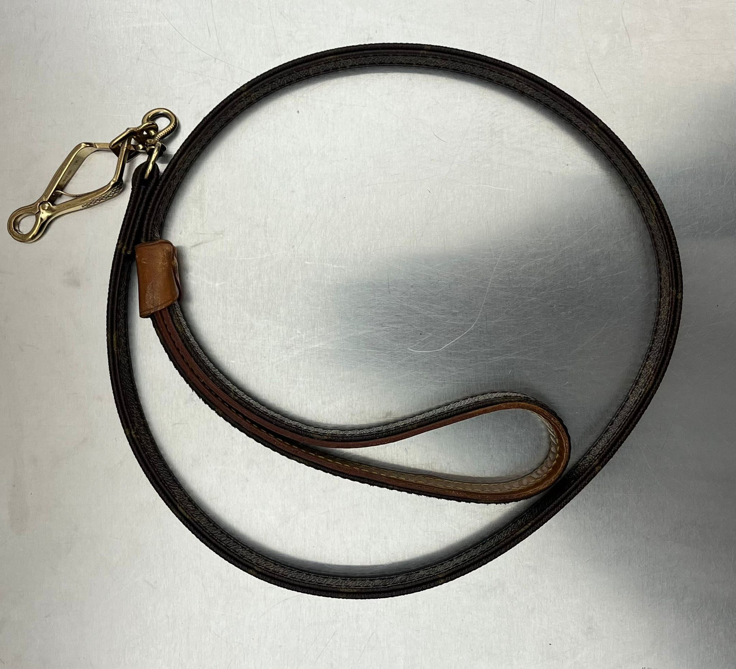 Louis Vuitton Baxter PM Leine mit Halsband