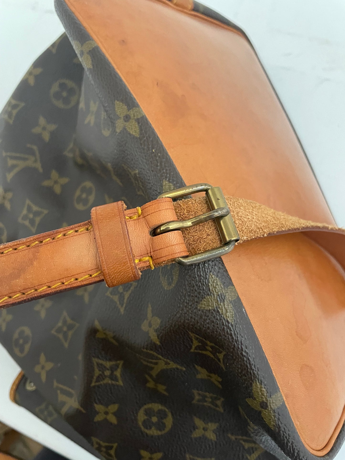 Louis Vuitton Sac Noé Petit