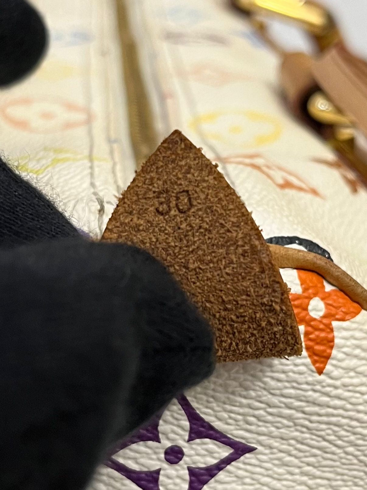 Louis Vuitton Speedy 30 Multicolor x Takashi Murakami