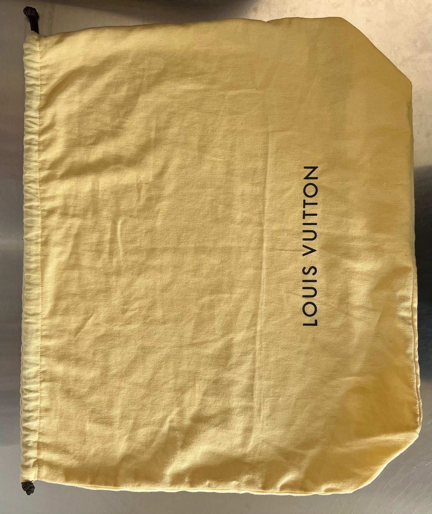 Louis Vuitton Evasion