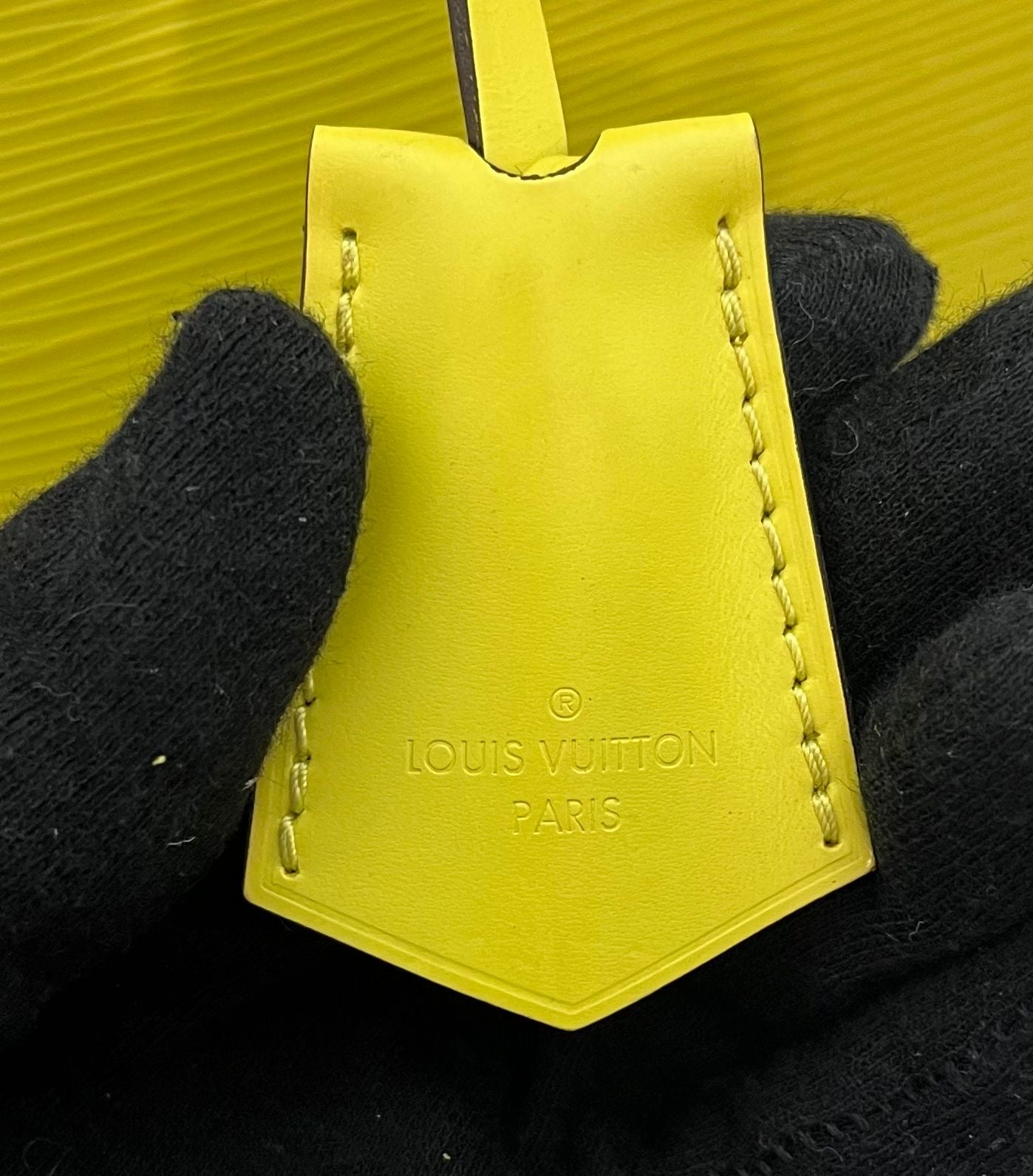 Louis Vuitton Alma PM Epi