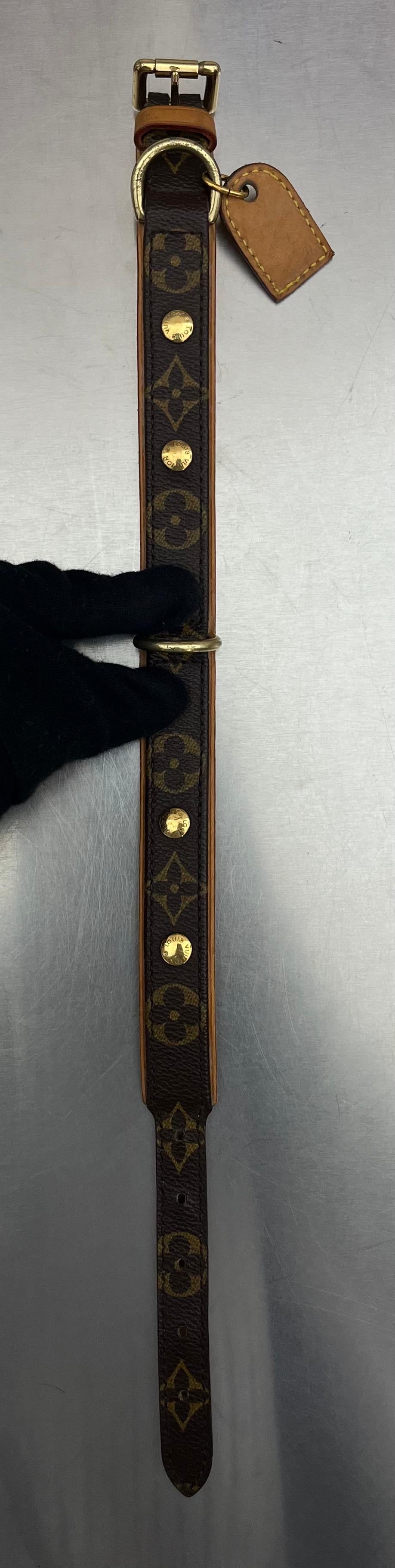 Louis Vuitton Baxter PM Leine mit Halsband