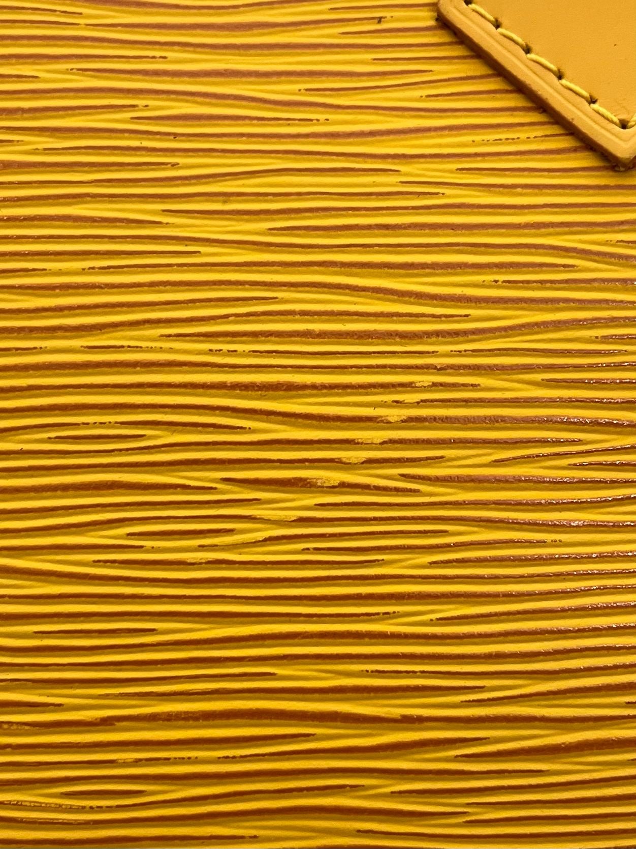 Louis Vuitton Alma PM Epi