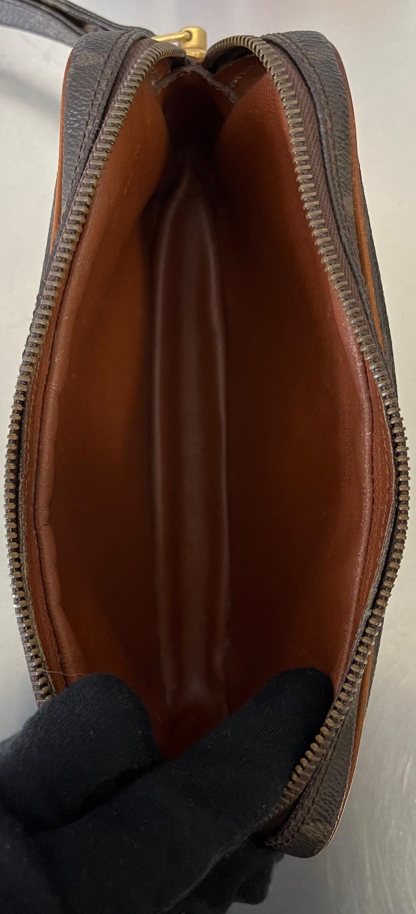 Louis Vuitton Marly Dragonne PM (Vintage)