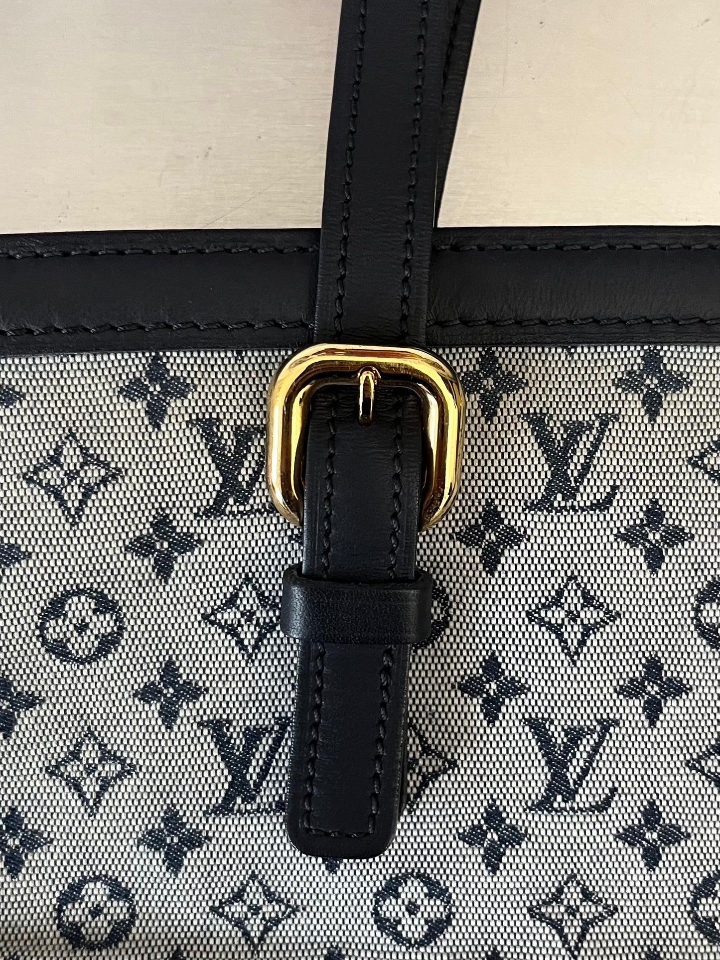 Louis Vuitton Mini Lin Francoise