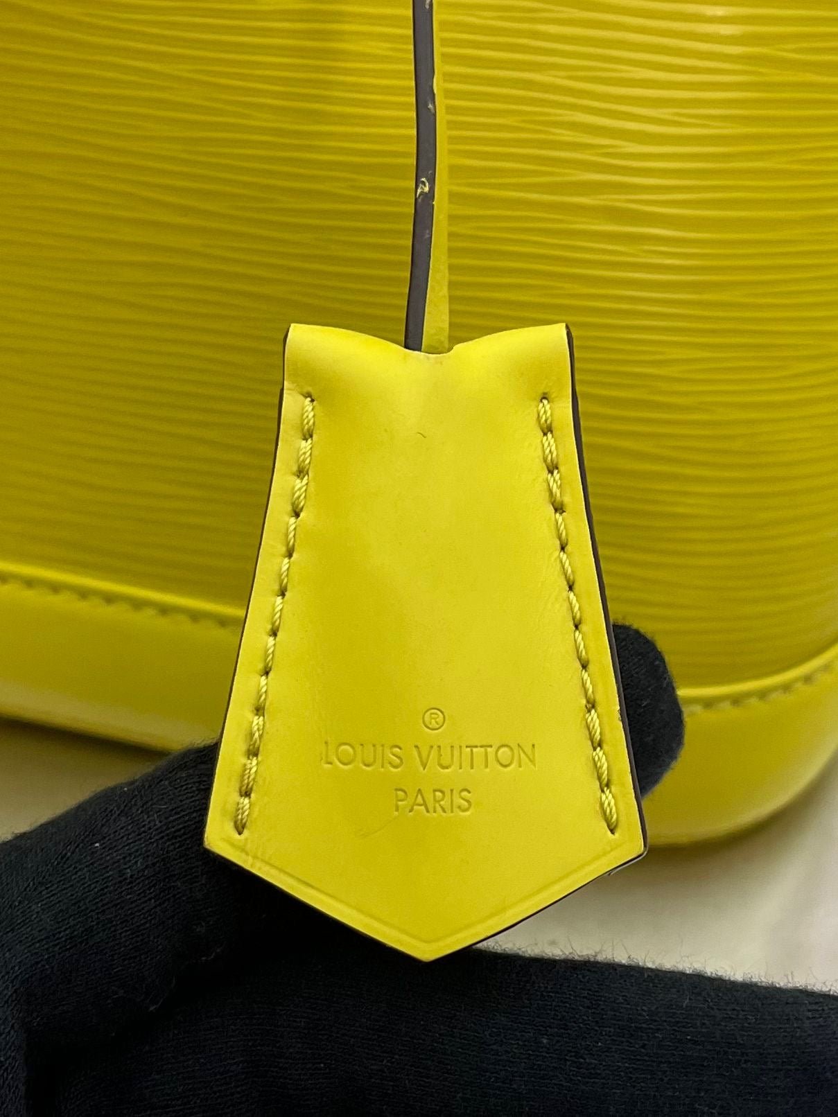 Louis Vuitton Alma PM Epi