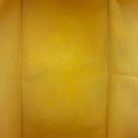 Louis Vuitton Alma PM Epi