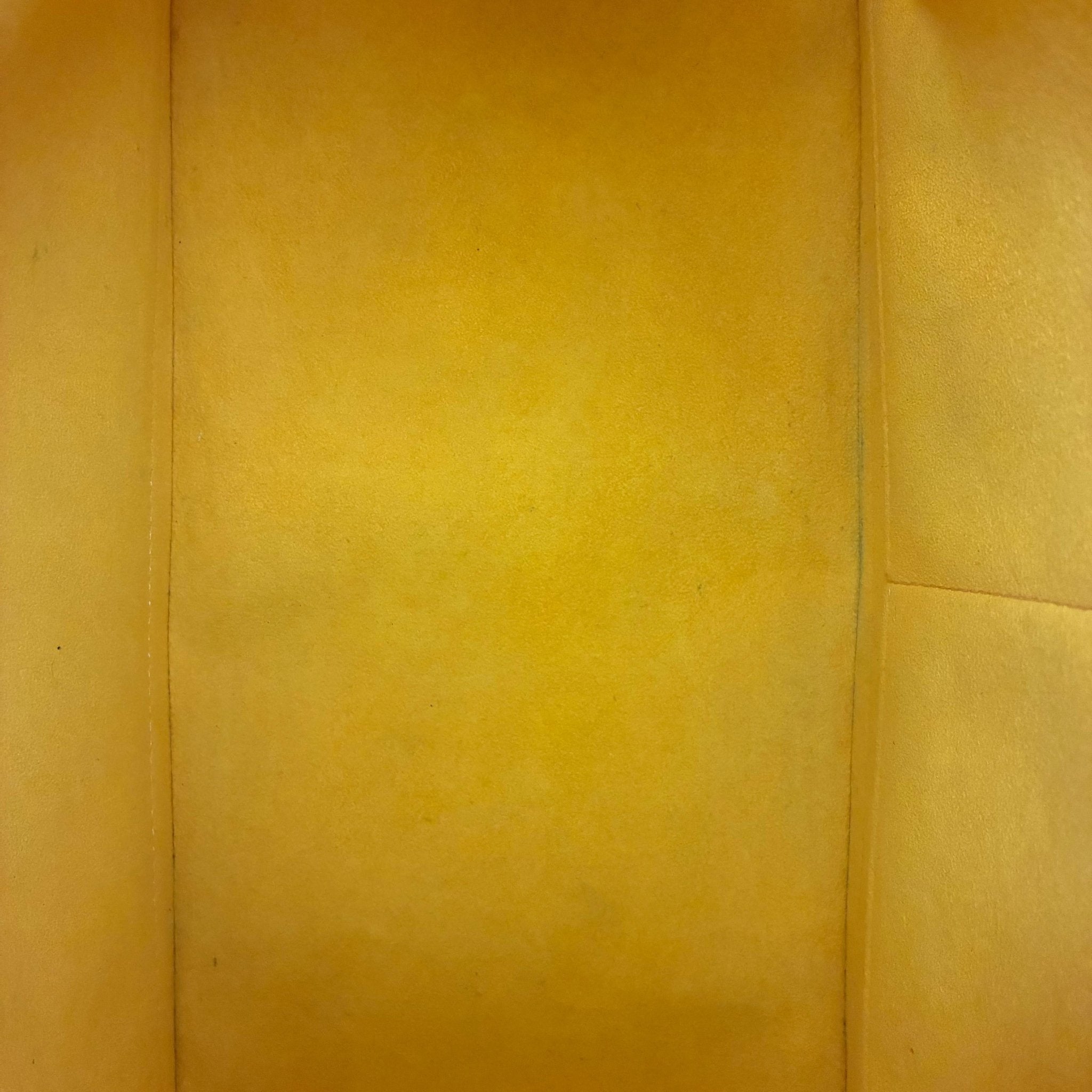 Louis Vuitton Alma PM Epi