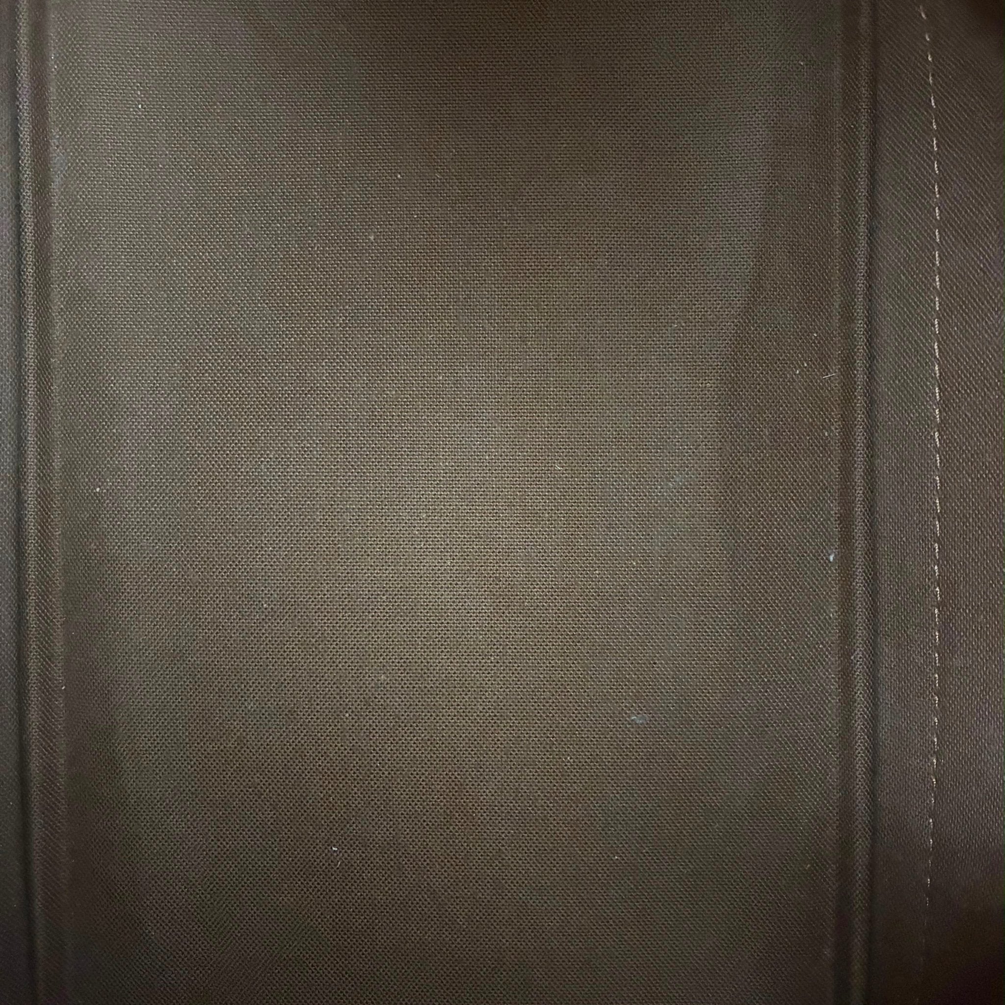 Louis Vuitton Alma PM Monogam