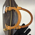 Louis Vuitton Alma PM Monogram