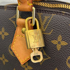Louis Vuitton Alma PM Monogram