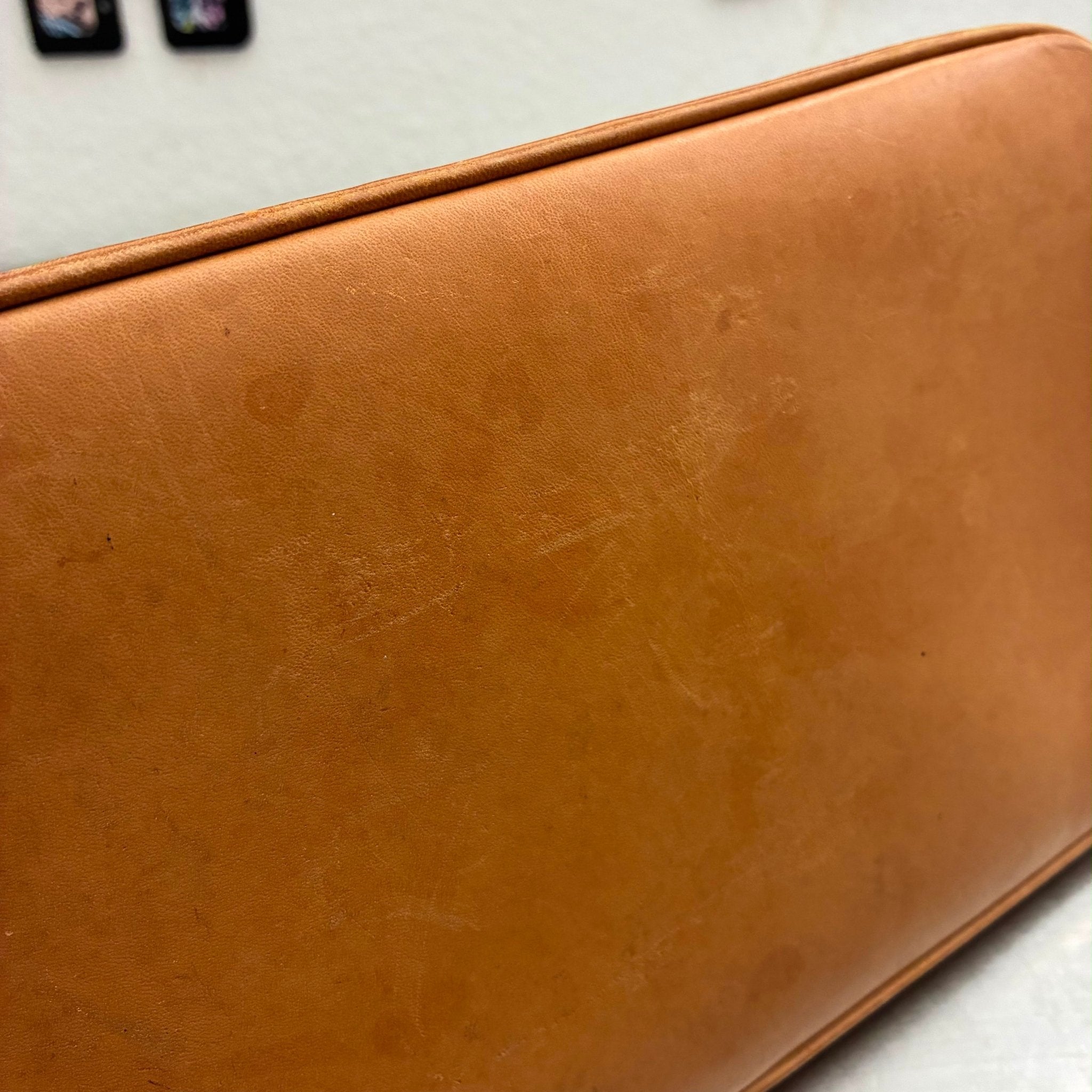 Louis Vuitton Alma PM Monogram