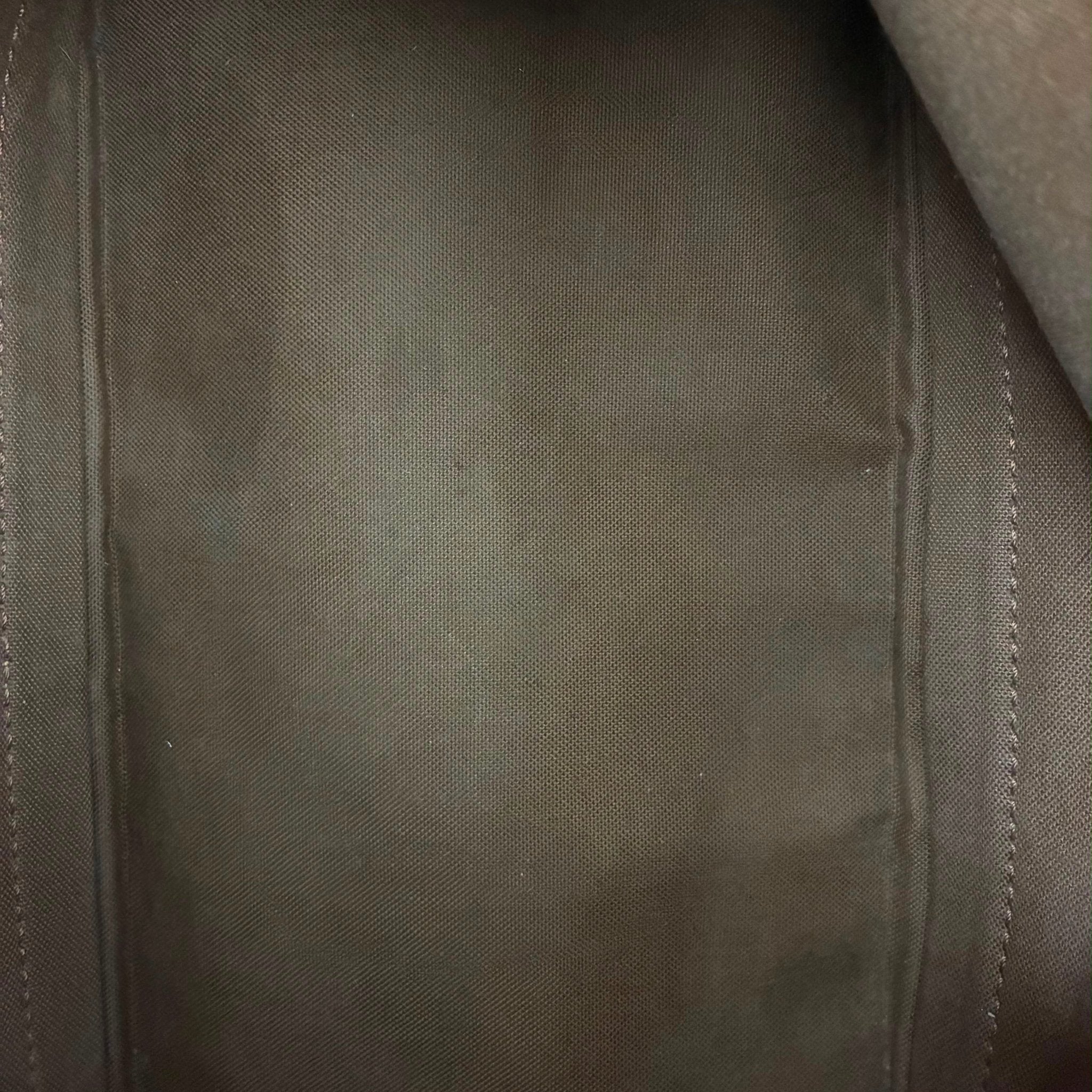 Louis Vuitton Alma PM Monogram