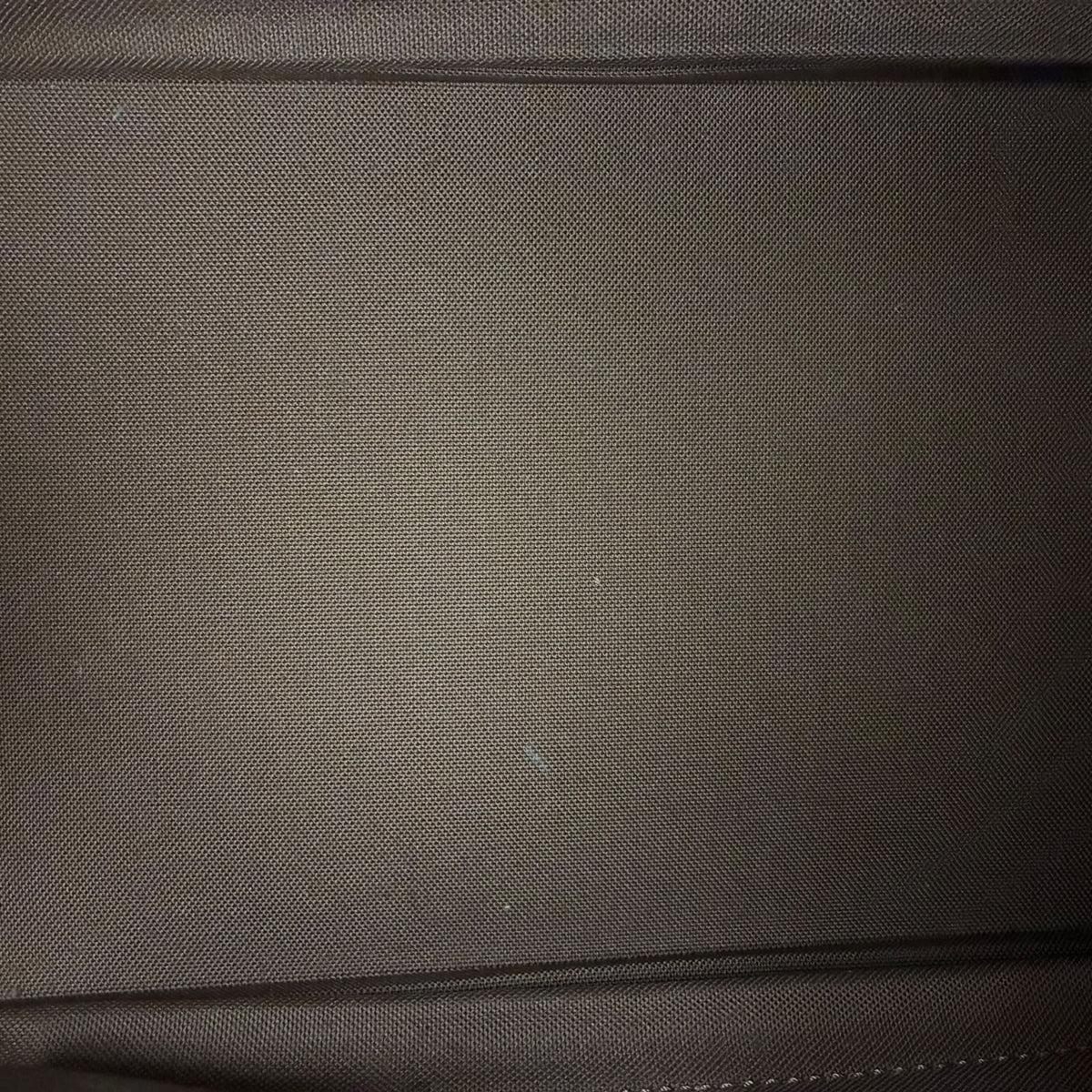 Louis Vuitton Alma PM Monogram