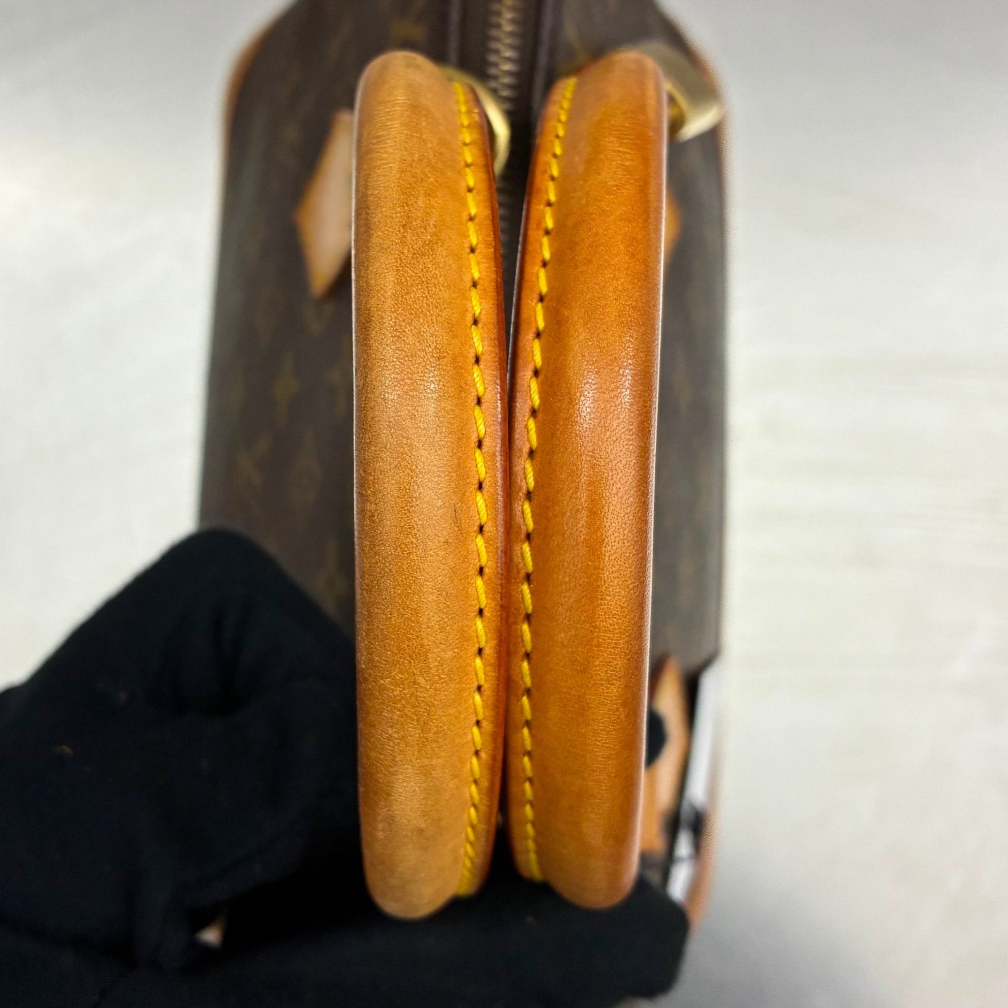 Louis Vuitton Alma PM Monogram
