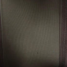 Louis Vuitton Alma PM Monogram