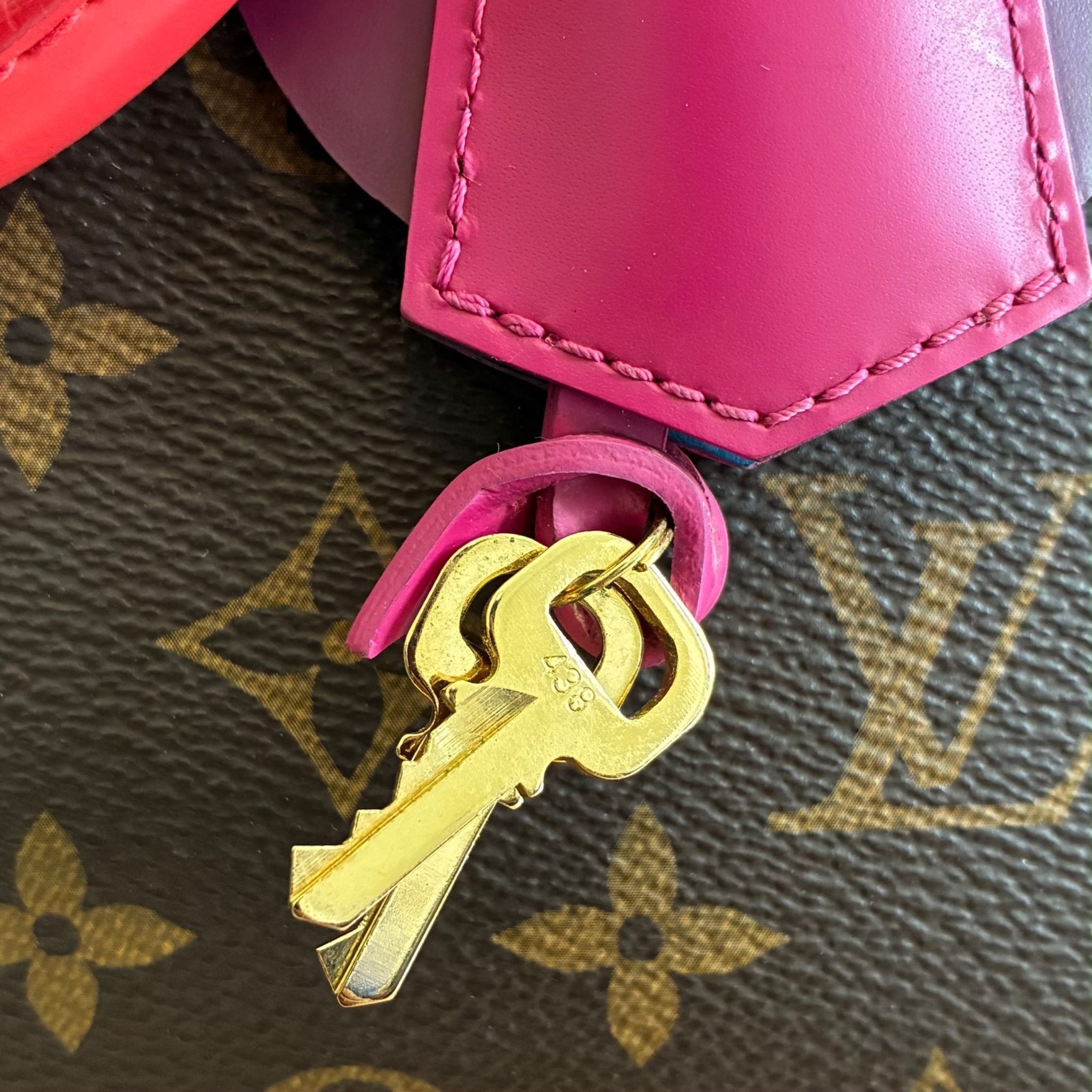 Louis Vuitton Alma PM Totem Monogam