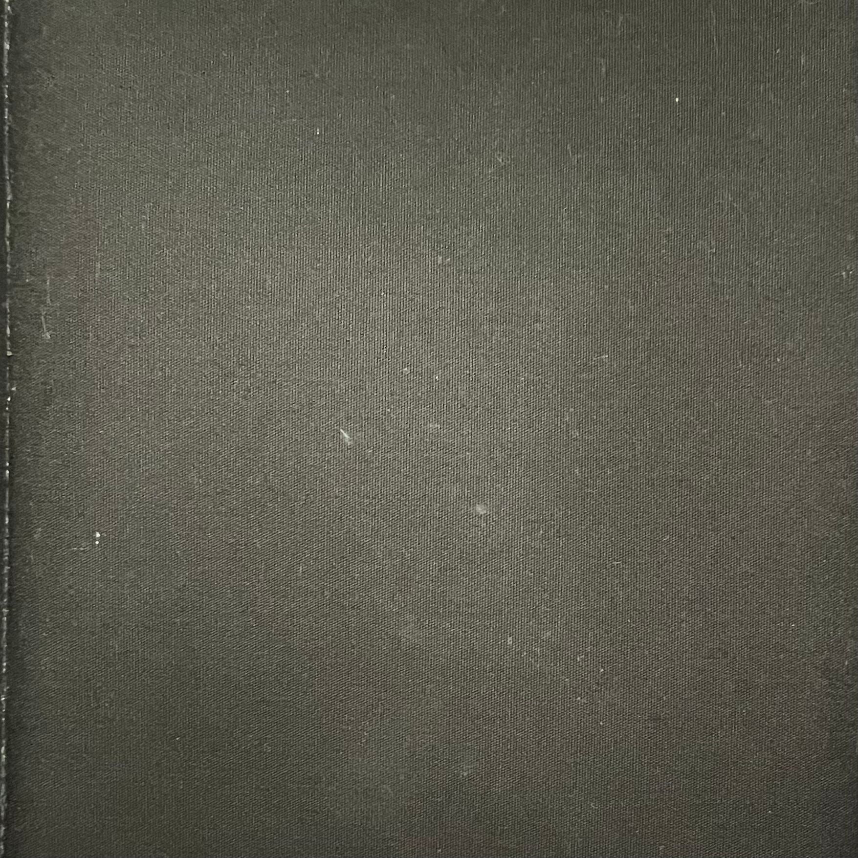 Louis Vuitton Alma PM Vernis