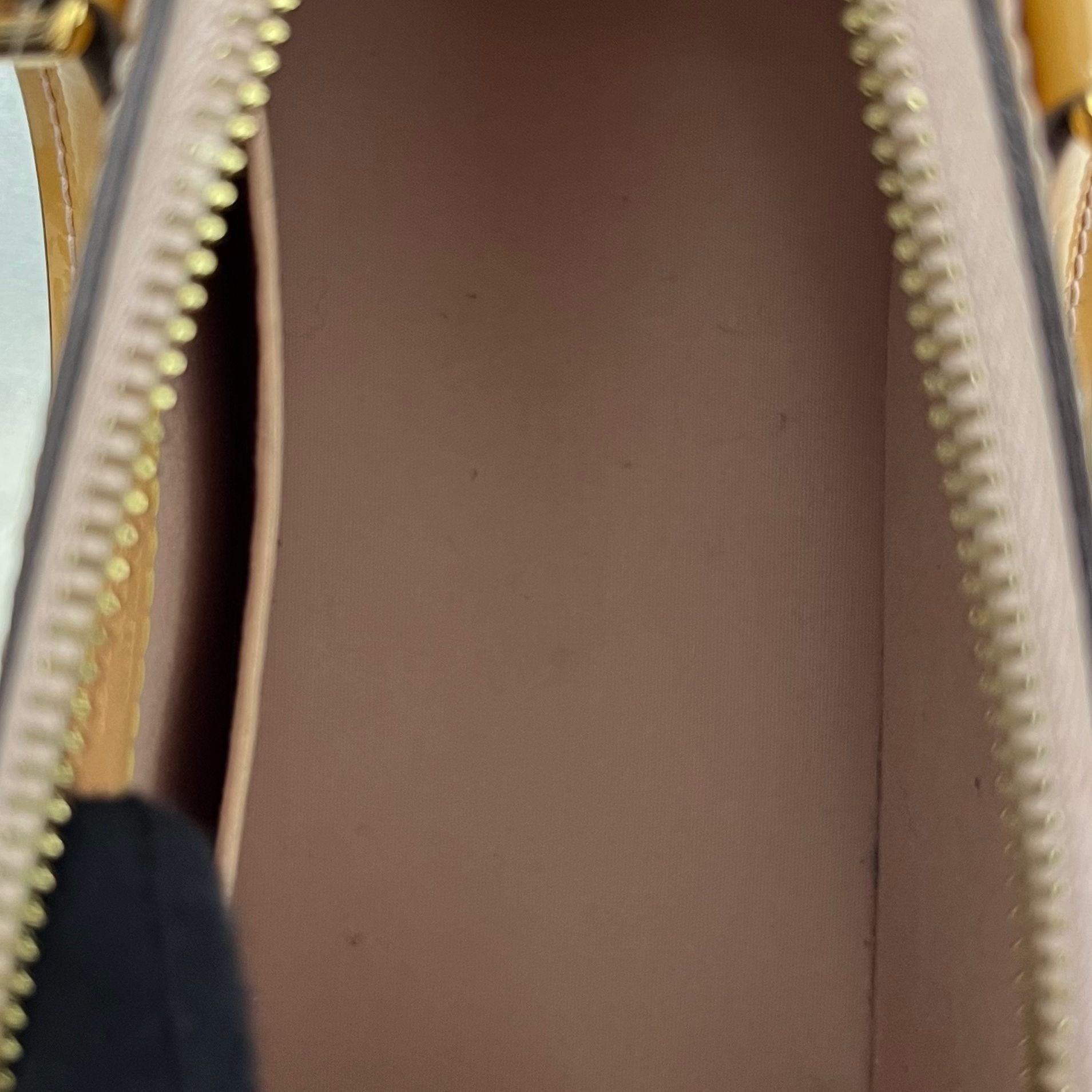 Louis Vuitton Alma Vernis BB
