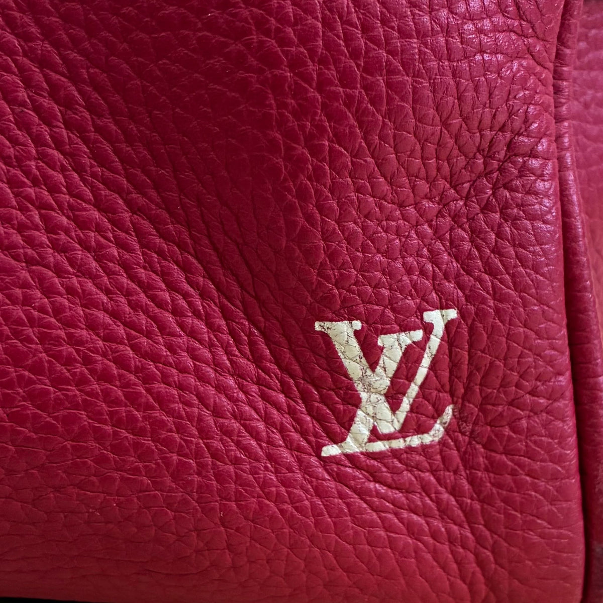 Louis Vuitton Carryall Limited Edition Tobago Leder